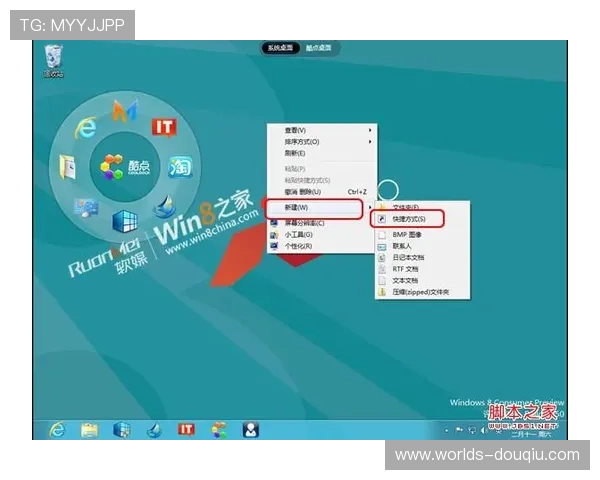 斗球电脑网页版入口常见问题及解决方案详尽解析